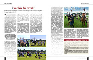 Layout 1
