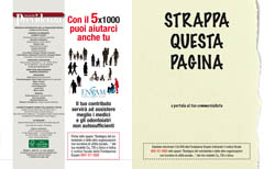 Layout 1