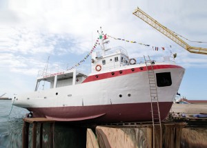 B29P2390