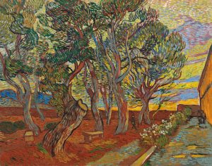Il giardino del manicomio