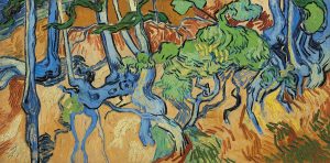 Radici di alberi