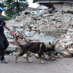 terremoto