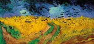 campo di grano con corvi