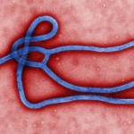 ebola-620x412