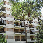 immobili
